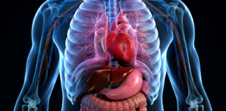 El cuerpo humano sigue sorprendiendo al mundo: estos increíbles datos científicos parecen sacados de una película