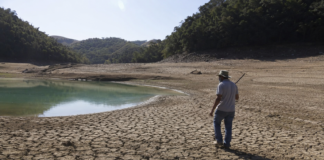 Colombia en alerta: fenómeno de El Niño llega antes de lo previsto y podría provocar sequías e incendios