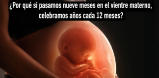 ¿Por qué si pasamos nueve meses en el vientre materno, celebramos años cada 12 meses?