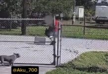 Horror en Texas: Mujer china habría permanecido secuestrada durante cinco días; un hombre enfrenta cargos por agresión y posible trata de personas