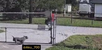 Horror en Texas: Mujer china habría permanecido secuestrada durante cinco días; un hombre enfrenta cargos por agresión y posible trata de personas