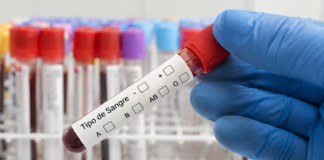 ¿Cuántos tipos de sangre existen en el cuerpo humano? Conoce por qué pueden marcar la diferencia entre la vida y la muerte