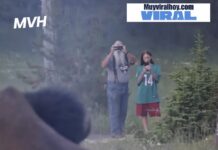 Turista resulta gravemente herido tras ser lanzado por un bisonte en impactante incidente