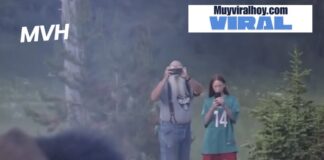 Turista resulta gravemente herido tras ser lanzado por un bisonte en impactante incidente