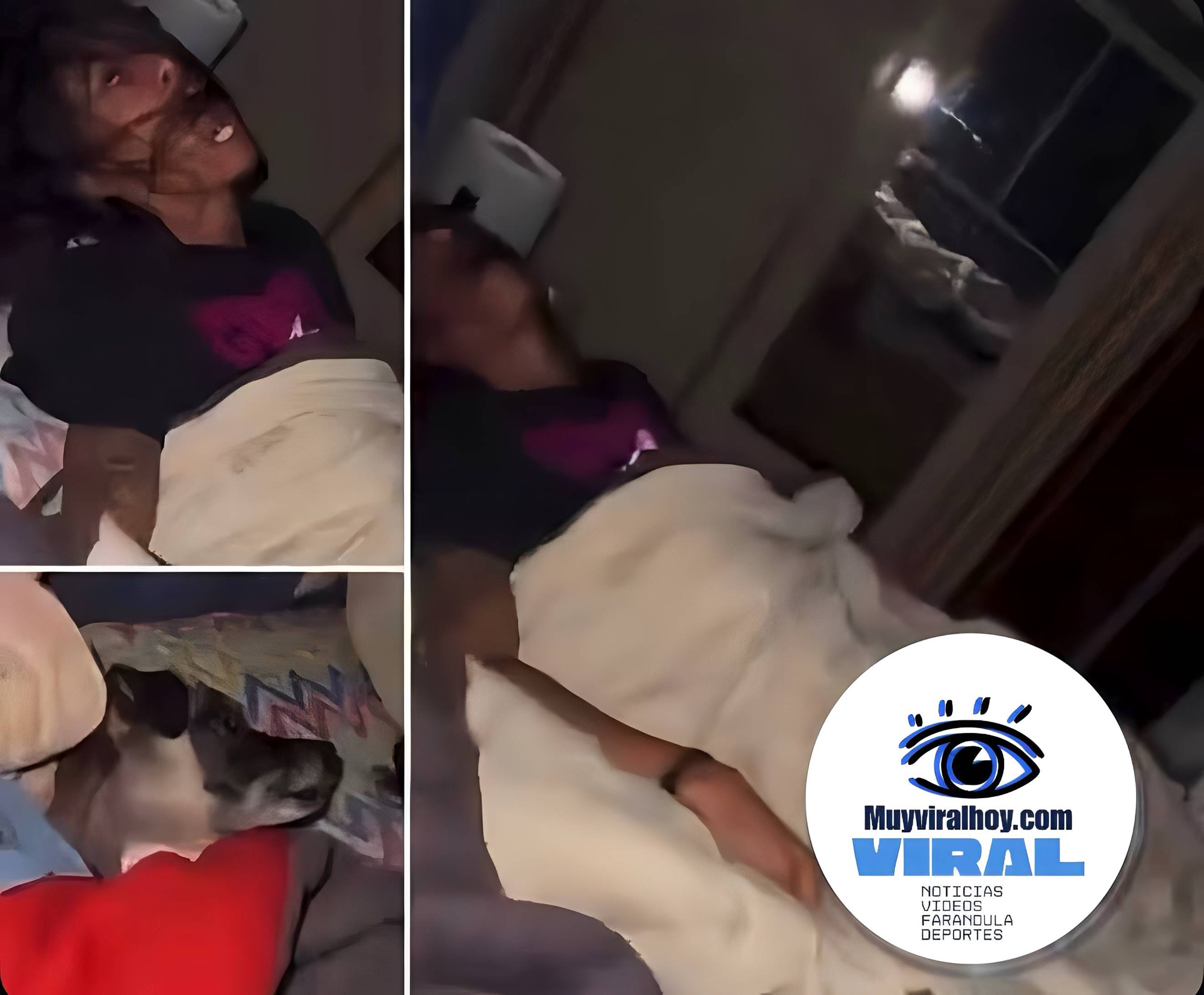 Mujer se vuelve viral por sus extraños ronquidos durante toda la noche; la reacción de su perro conquista las redes
