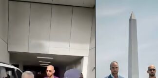 ÚLTIMA HORA | Andrew y Tristan Tate son arrestados en Miami por solicitud de extradición del Reino Unido
