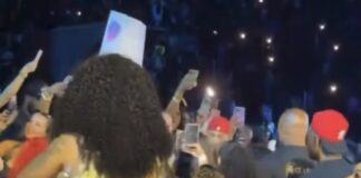 Mujer se vuelve viral tras casi romperse el cuello por intentar grabar a Chris Brown