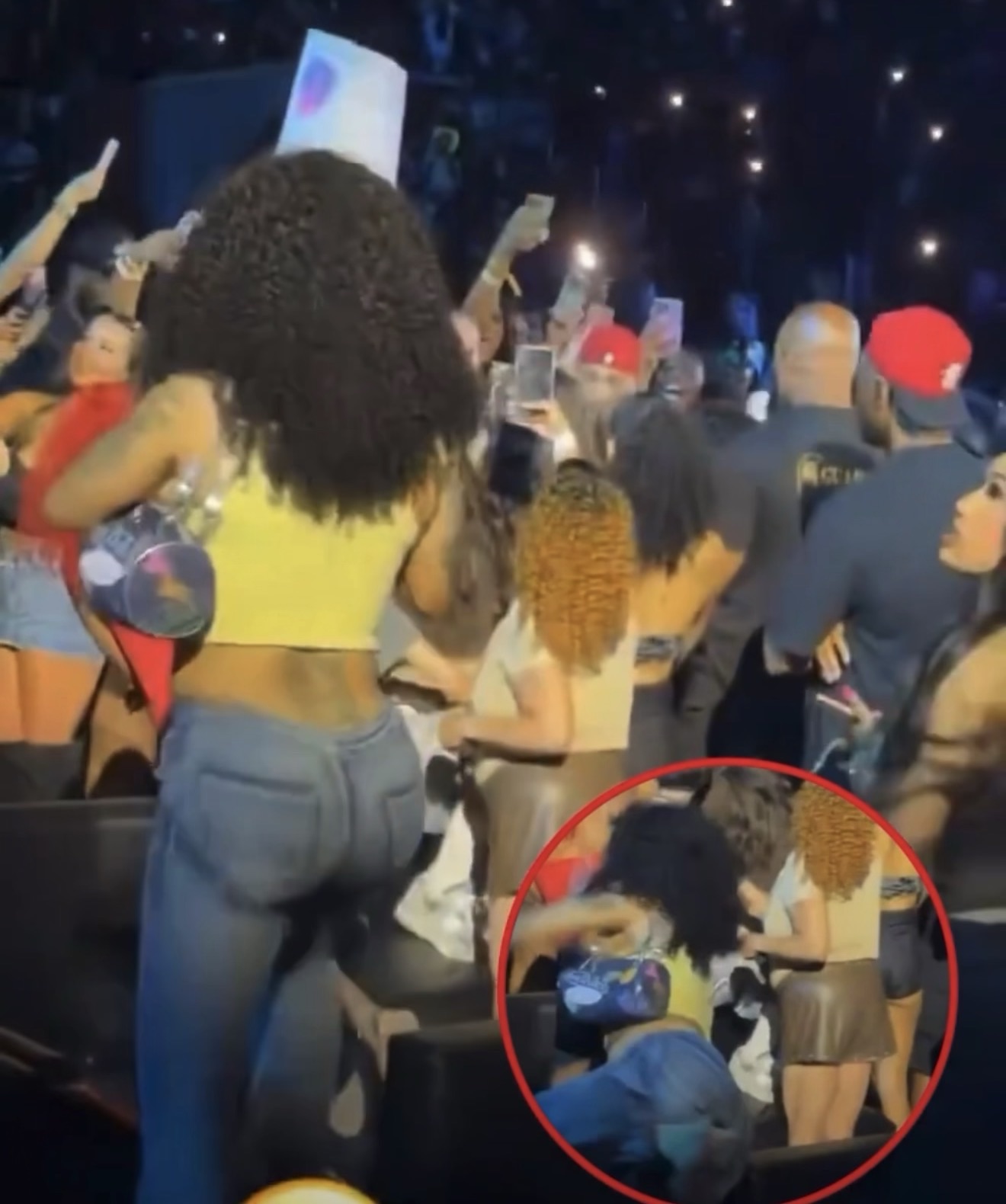 Mujer se vuelve viral tras casi romperse el cuello por intentar grabar a Chris Brown