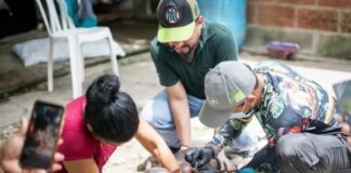 Una familia de pescadores encuentra a un hipopótamo recién nacido en estado crítico en Puerto Nare; autoridades logran rescatarlo